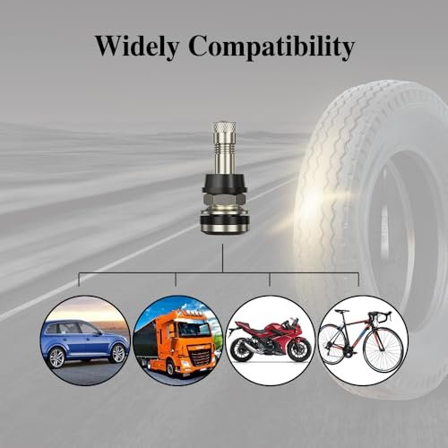4PCS TR416 Valve Stem, Premium Metal Tire Valve Stems for Tubeless Tires, High Pressure Tire Valve Stems Outer Mount Fits 0.453" and 0.625" Rim Hole, 1 1/2" Long, Silver