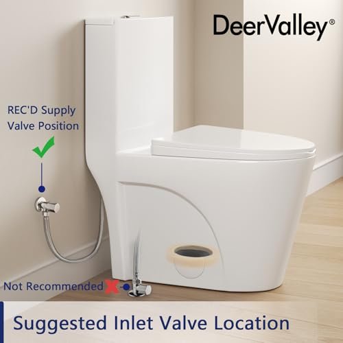 DeerValley Elongated One Piece Toilet for Bathrooms with Comfort Seat Height 17", Power Flush Toilet Bowl 1.1/1.6 GPF and 12'' Rough-In, 2102-1F01