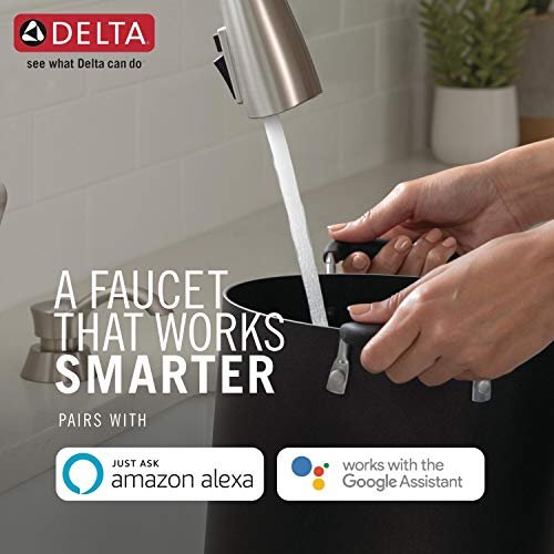 Delta Faucet Essa VoiceIQ Touchless Kitchen Faucet with Pull Down Sprayer, Smart Faucet, Alexa and Google Assistant Voice Activated, Kitchen Sink Faucet, Arctic Stainless 9113TV-AR-DST