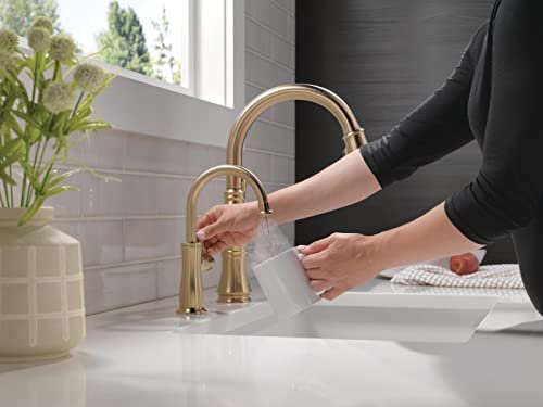 DELTA FAUCET Traditional Instant Hot Water Dispenser, Champagne Bronze