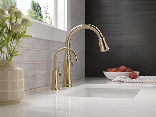 DELTA FAUCET Traditional Instant Hot Water Dispenser, Champagne Bronze
