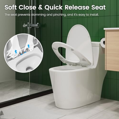 Elongated One Piece Toilet with Soft Closing Seat, 12'' Rough-In Modern Toilet for Bathrooms, 1.28 GPF Dual Flush, MAP 1000g, 28.4 x 15.5 x 26.6 Inches Standard White Toilet bowl
