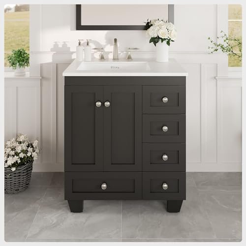 Eviva Acclaim 28 in. White Transitional Bathroom Vanity with Espresso Carrara Quartz Countertop and Undermount Porcelain Sink