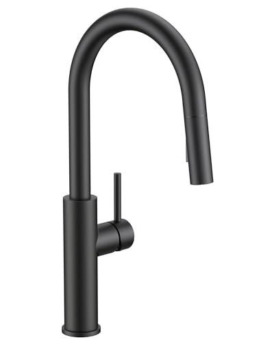 FORIOUS Kitchen Faucet with Pull Down Sprayer, Classic Matte Black, Single Handle High Arc Stainless Steel Kitchen Sink Faucet, 1 or 3 Hole Deck Mount for RV, Bar, Farmhouse, Laundry, Outdoor