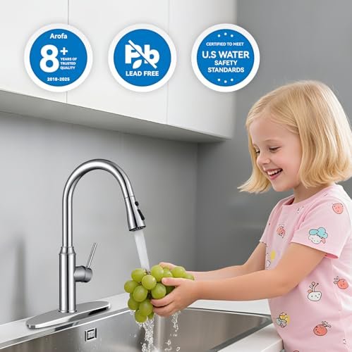 Kitchen Faucet with Pull Down Sprayer, Chrome Faucet for Kitchen Sink Stainless Steel Kitchen Faucets, Single Handle 1 or 3 Hole Faucet with Escutcheon for RV, Outdoor, Laundry & Utility Room Sink