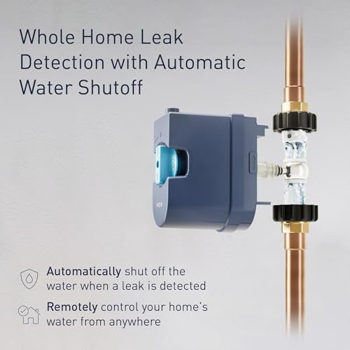 Moen 900-006 Flo by Moen 1-Inch Smart Water Shutoff with 920-004 Flo by Moen Smart Water Detector, 1-Pack