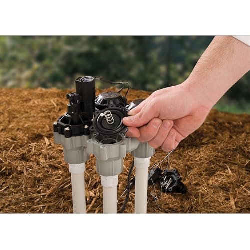 Rain Bird DASASVF075 Professional Grade Anti-Siphon Valve with Flow Control, 3/4" Threaded Female x Female