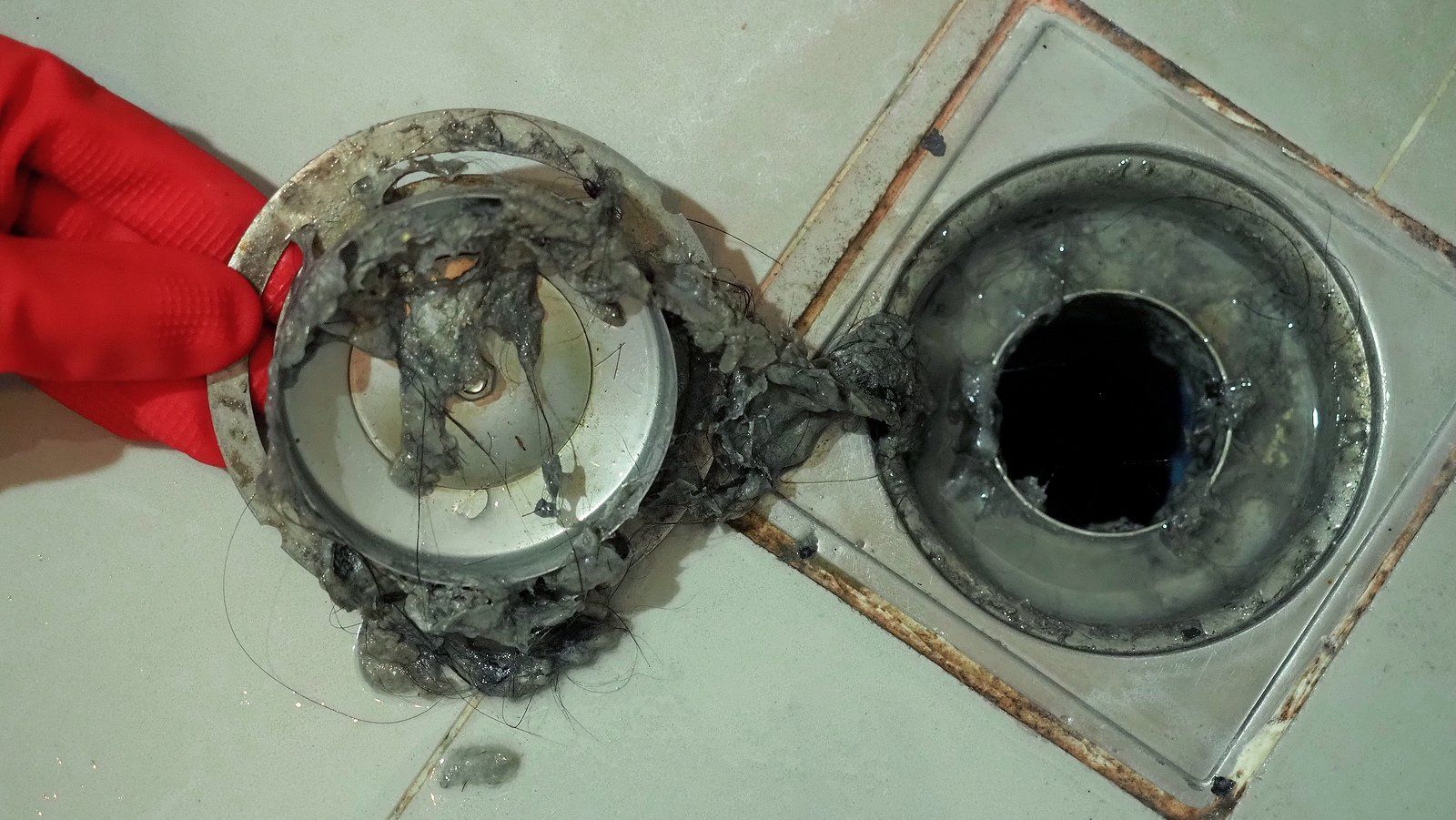 sewer-gas-smell-in-a-dry-basement.jpg
