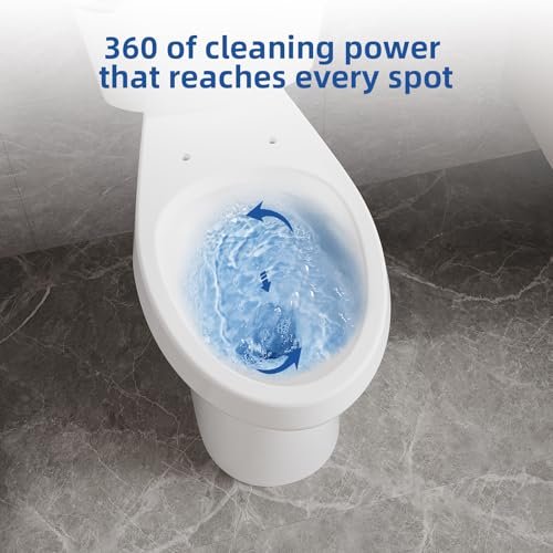 Two Piece Toilet, 19" Elongated Toilets for Bathrooms With Soft Close Seat, ADA Height With 1.28 GPF Siphonic Flush Cotton White