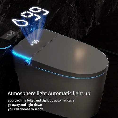 VIPOOO Smart Toilet with Bidet Built In- Automatic Tankless Modern Intelligent Toilet With User Definition, Foot Sensor Flush, Heated Seat, Warm Water Dryer VIP-01