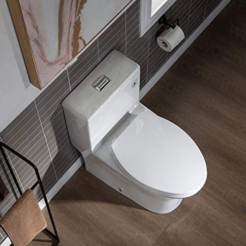WOODBRIDGEE Modern Elongated One piece Toilet Dual flush 1.0/1.6 GPF,with Soft Closing Seat,1000 Gram MaP Flushing Score Toilet with Chrome Button,White,B0750-F-C