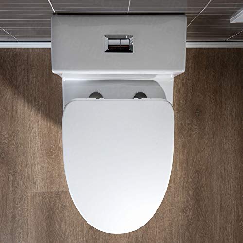 WOODBRIDGEE Modern Elongated One piece Toilet Dual flush 1.0/1.6 GPF,with Soft Closing Seat,1000 Gram MaP Flushing Score Toilet with Chrome Button,White,B0750-F-C